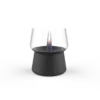 Tenderflame Amaryllis 10 Black