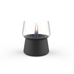 Tenderflame Amaryllis 10 Black