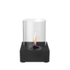 Tenderflame Jasmine